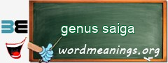 WordMeaning blackboard for genus saiga